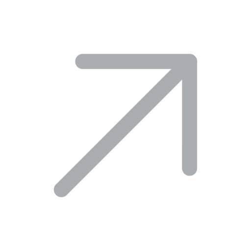 Ambassador Icon